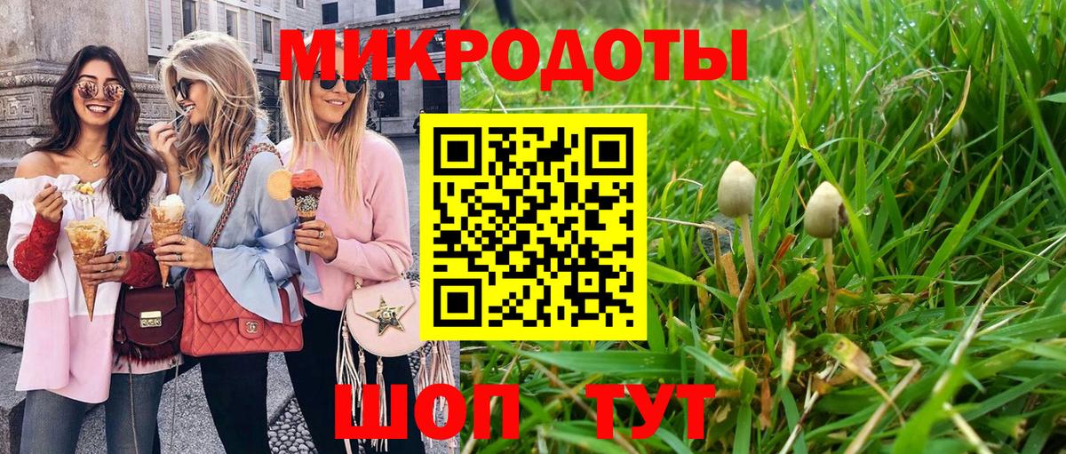 Галлюциногенные грибы прущие грибы Жигулёвск